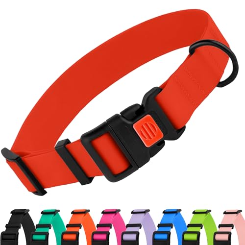 CollarDirect Verstellbares Hundehalsband, bunt, wasserdicht, für kleine, mittelgroße und große Hunde, Welpen, 8 Farben (25,4-33 cm, Rot) von CollarDirect