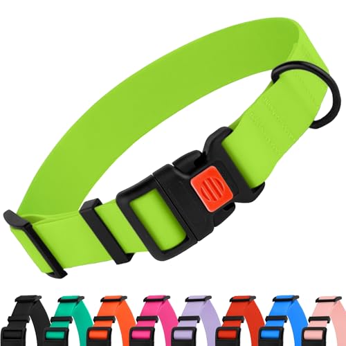 CollarDirect Verstellbares Hundehalsband, bunt, wasserdicht, für kleine, mittelgroße und große Hunde, Welpen, 8 Farben (30,5-40,6 cm, Limettengrün) von CollarDirect