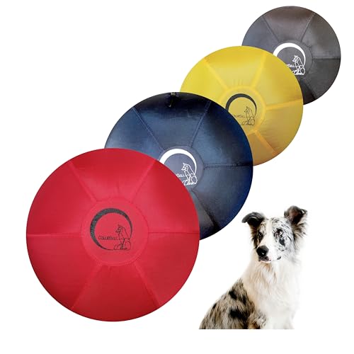 CollieBall Original Herding Ball, Gold, 76,2 cm, mit Nudelkugel von CollieBall