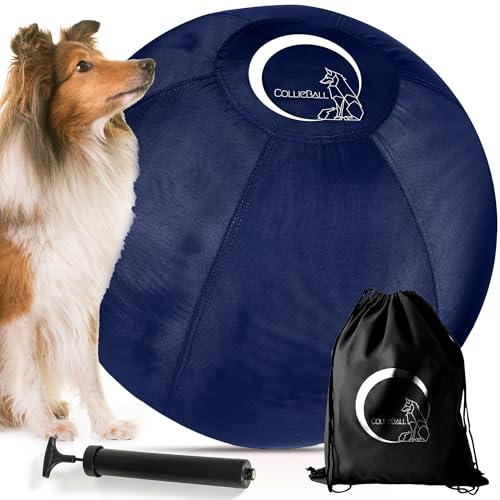 CollieBall - Herding Ball für Hunde, 76,2 cm, Marineblau, aufblasbar, bruchsicher, Hundehüttenball für australische Schäferhunde, Corgis, Collies und Rinder, langlebiges Qualitäts-Geschenk für große von CollieBall