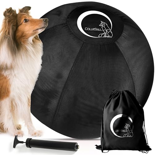 CollieBall - Herding Ball für Hunde, 76,2 cm, schwarz, aufblasbar, bruchsicher, Hundehüttenball für australische Schäferhunde, Corgis, Collies und Rinder, langlebiges Qualitäts-Geschenk für große von CollieBall