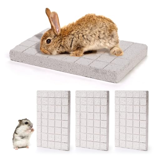 Coloch 4 Stück Bunny Kratzbrett, Kaninchenschleifklauen-Pad, Lavaschleifzähne, Stein, kleines Haustier-Kauspielzeug für Kaninchen, Ratten, Rennmäuse, Chinchilla, Meerschweinchen von Coloch