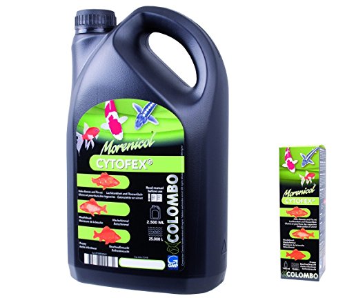 Colombo 60330/3077 Cytofex gegen bakterielle Infektionen Koi, Inhalt: 1000 ml von Superfish