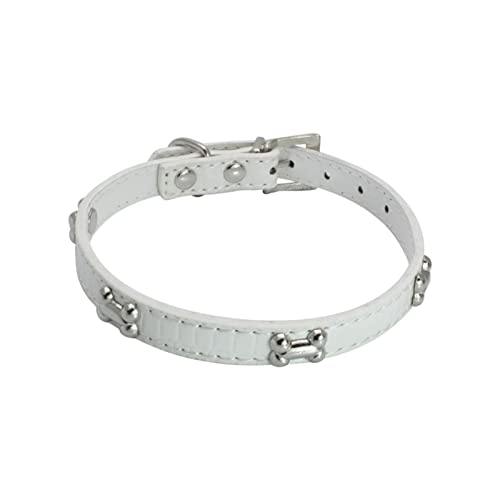 Colorful Outdoor Pet Glänzende Strass Hundehalsband Knochenschmuck Hundehalsband kleine und mittlere Hundekette (H, L) von Colorful Outdoor