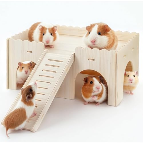 Großes Meerschweinchen Haus, Holz Aufbewahrungskorb mit Deckel und Rampe: Großes Meerschweinchen Versteck, Mehrkammer-Spielzeug für Degus, Hamster, Kleintiere, 38 x 25 x 18 cm Großes Meerschweinchen Haus, Holz Aufbewahrungskorb mit Deckel und Rampe: Großes Meerschweinchen Versteck, Mehrkammer-Spielzeug für Degus, Hamster, Kleintiere, 38 x 25 x 18 cm von Colrid