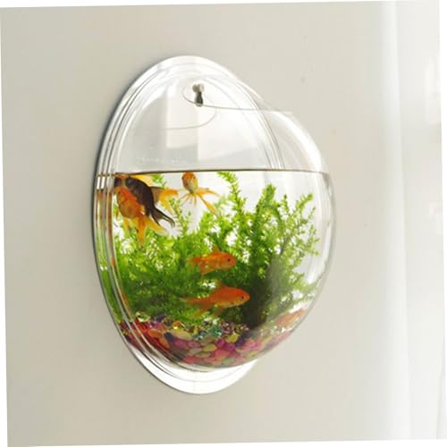 Kleines Aquarium 9,1 Zoll Durchmesser klarer Acrylwandmortenmontierter Fischtank Easy Setup Raumsparende Wandfischtank für Fische, Blumen und Pflanzen, Wandfischtank, kleines Aquarium von Comebachome