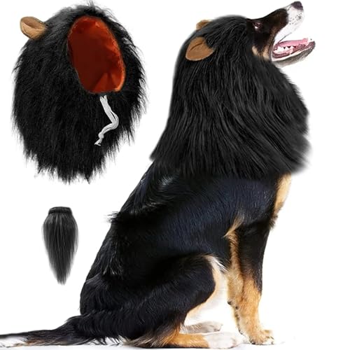 Mähne für Hund mit Schwanz süße Hundehähne mit Ohren lustige Hund Kostüm Dekorative Hunde Kostüm für Halloween -Fotoshootings Party, S, Hund Kostüm von Comebachome