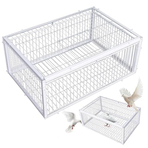 Vögel Trap mit Einwegeintritt, 16x12 x 10 Zoll Metallpaare-Falle mit fluchtsicherem Design, tragbarer Taubenfalle mit Oberlichtern für Farmen Scheunen Gardens Doves Breeding von Comebachome