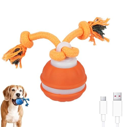 2025 Neu Power Tail 2.0 Dog Toy, Interaktives Katzenspielzeug Ball Elektrisch, Balle pour Chien, Katzenspielzeug Elektrisch Interaktives Hundespielzeug Selbstrollender Ball Für Hunde (Orange) von ComedyKing