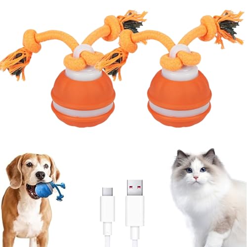 2025 Neu Power Tail 2.0 Dog Toy, Interaktives Katzenspielzeug Ball Elektrisch, Balle pour Chien, Katzenspielzeug Elektrisch Interaktives Hundespielzeug Selbstrollender Ball Für Hunde (Orange*2) von ComedyKing