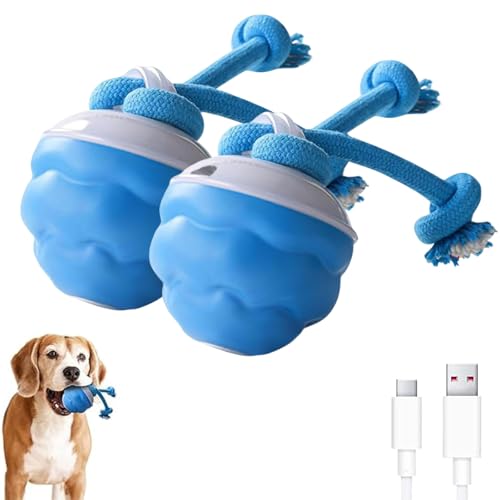 2025 Neu Power Tail 2.0 Dog Toy, Interaktives Katzenspielzeug Ball Elektrisch, Balle pour Chien, Katzenspielzeug Elektrisch Interaktives Hundespielzeug Selbstrollender Ball Für Hunde (blau*2) von ComedyKing