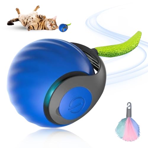 Chewie Rolling Ball, 2025 Neu Magic Ball Hund interaktives katzenspielzeug elektrisch, hundespielzeug Ball, Intelligenter automatischer Rollball für Kleine,Mittlere Hunde (Blau) von ComedyKing