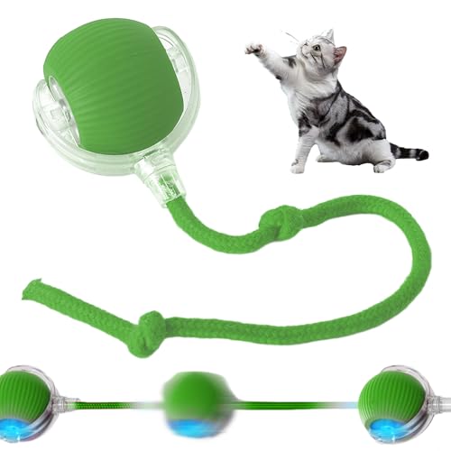 Chewie Rolling Ball, 2025 Neu Magic Ball Hund interaktives katzenspielzeug elektrisch, hundespielzeug Ball, Intelligenter automatischer Rollball für Kleine,Mittlere Hunde (Grün) von ComedyKing