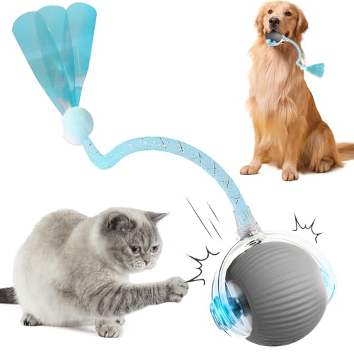 Interaktiv Katzenspielzeug Elektrisch, Chewie Rolling Ball, 2025 Neu Katzenspielzeug Interaktiv Ball, Katzenspielzeug Ball, Intelligenter automatischer Rollball für Katzen Hunde (Grau) von ComedyKing