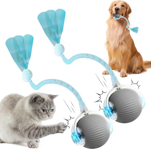 ComedyKing Interaktiv Katzenspielzeug Elektrisch, Rolling Ball, 2025 Neu Katzenspielzeug Interaktiv Ball, Katzenspielzeug Ball, Intelligenter automatischer Rollball für Katzen Hunde (Grau*2) von ComedyKing