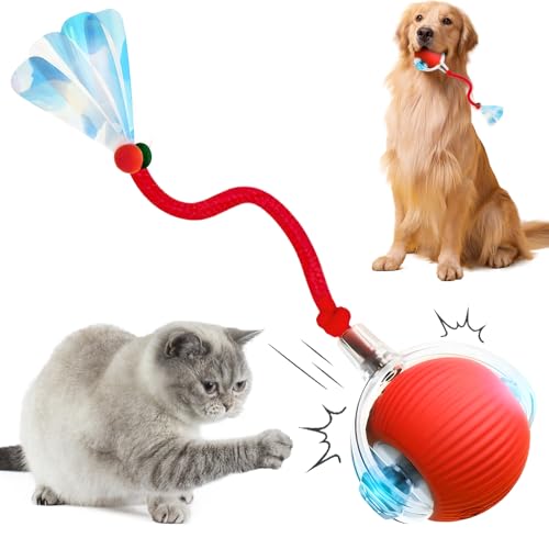 ComedyKing Interaktiv Katzenspielzeug Elektrisch, Rolling Ball, 2025 Neu Katzenspielzeug Interaktiv Ball, Katzenspielzeug Ball, Intelligenter automatischer Rollball für Katzen Hunde (rosa) von ComedyKing