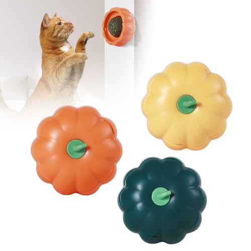 Katzenminze Balls, Catnip Wall Ball, Katzenminze Spielzeug, 3pcs Katzenminze Wandroller für Katzenlecken, Zahnreinigung Dentales essbares Kätzchenspielzeug mit Aufbewahrungsdeckel (Kürbisform) von ComedyKing