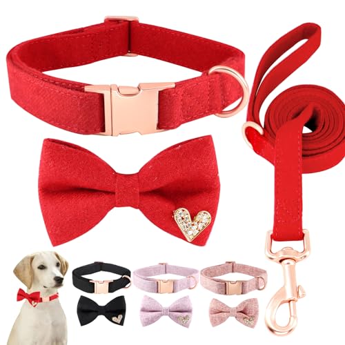 Comfluxe Hundehalsband und Leine, Set aus weicher Baumwolle, luxuriöses Hundehalsband mit Fliege, für kleine, mittelgroße und große Hunde, verstellbare, robuste Welpenhalsbänder mit von Comfluxe