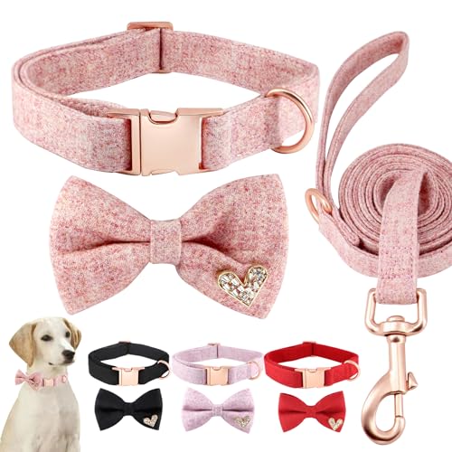 Comfluxe Hundehalsband und Leine, Set aus weicher Baumwolle, luxuriöses Hundehalsband mit Fliege, für kleine, mittelgroße und große Hunde, verstellbare, robuste Welpenhalsbänder mit von Comfluxe
