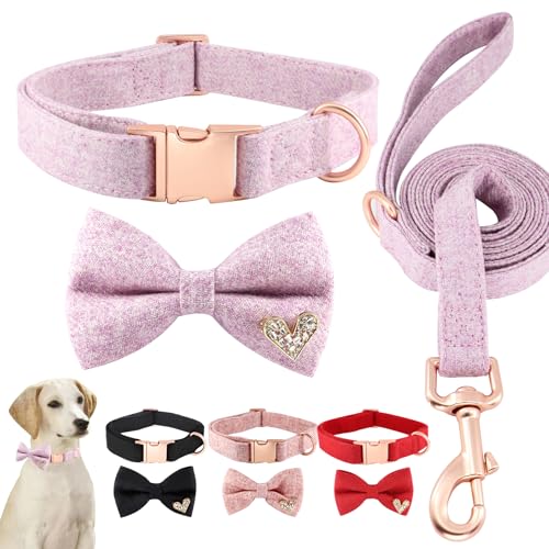 Comfluxe Hundehalsband und Leine aus weicher Baumwolle, luxuriöse Fliege für kleine, mittelgroße und große Hunde, verstellbares, strapazierfähiges Welpenhalsband mit Schnellverschluss-Metallschnalle, von Comfluxe