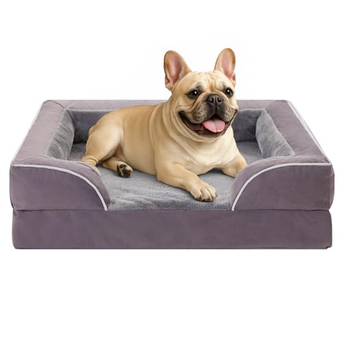 Comfort Expression, kleines orthopädisches Hundebett aus Schaumstoff, wasserdicht, bequemes Haustiersofa für mittelgroße Hunde mit waschbarem, abnehmbarem Bezug und rutschfestem Boden (Größe S, lila) Comfort Expression, kleines orthopädisches Hundebett aus Schaumstoff, wasserdicht, bequemes Haustiersofa für mittelgroße Hunde mit waschbarem, abnehmbarem Bezug und rutschfestem Boden (Größe S, lila) von Comfort Expression