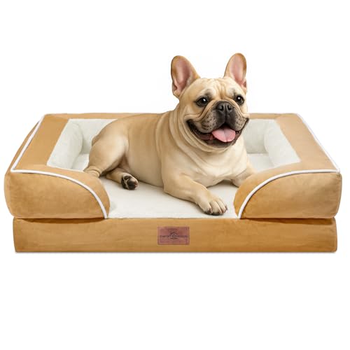 Comfort Expression, kleines orthopädisches Hundebett aus Schaumstoff, wasserdicht, bequemes Haustiersofa für mittelgroße Hunde mit waschbarem, abnehmbarem Bezug und rutschfestem Boden (Größe S, khaki) Comfort Expression, kleines orthopädisches Hundebett aus Schaumstoff, wasserdicht, bequemes Haustiersofa für mittelgroße Hunde mit waschbarem, abnehmbarem Bezug und rutschfestem Boden (Größe S, khaki) von Comfort Expression