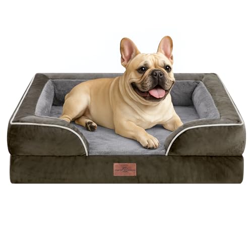 Comfort Expression, kleines orthopädisches Hundebett aus Schaumstoff, wasserdicht, bequemes Haustiersofa für mittelgroße Hunde mit waschbarem, abnehmbarem Bezug und rutschfestem Boden (S, dunkelgrün) Comfort Expression, kleines orthopädisches Hundebett aus Schaumstoff, wasserdicht, bequemes Haustiersofa für mittelgroße Hunde mit waschbarem, abnehmbarem Bezug und rutschfestem Boden (S, dunkelgrün) von Comfort Expression