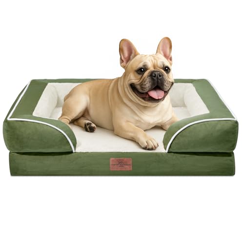 Comfort Expression, kleines orthopädisches Hundebett aus Schaumstoff, wasserdicht, bequemes Haustiersofa für mittelgroße Hunde mit waschbarem, abnehmbarem Bezug und rutschfestem Boden (S, hellgrün) Comfort Expression, kleines orthopädisches Hundebett aus Schaumstoff, wasserdicht, bequemes Haustiersofa für mittelgroße Hunde mit waschbarem, abnehmbarem Bezug und rutschfestem Boden (S, hellgrün) von Comfort Expression