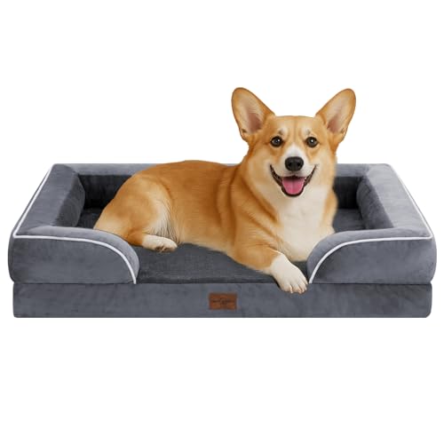 Comfort Expression, orthopädisches Sofa-Hundebett für mittelgroße und große Hunde, wasserdicht, bequeme Schaumstoffpolsterung, abnehmbarer, waschbarer Bezug, rutschfeste Unterseite (M, dunkelgrau) Comfort Expression, orthopädisches Sofa-Hundebett für mittelgroße und große Hunde, wasserdicht, bequeme Schaumstoffpolsterung, abnehmbarer, waschbarer Bezug, rutschfeste Unterseite (M, dunkelgrau) von Comfort Expression
