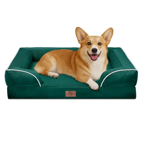 Comfort Expression, orthopädisches Sofa-Hundebett für mittelgroße und große Hunde, wasserdicht, bequeme Schaumstoffpolsterung, abnehmbarer, waschbarer Bezug und rutschfeste Unterseite (M, smaragdgrün) Comfort Expression, orthopädisches Sofa-Hundebett für mittelgroße und große Hunde, wasserdicht, bequeme Schaumstoffpolsterung, abnehmbarer, waschbarer Bezug und rutschfeste Unterseite (M, smaragdgrün) von Comfort Expression