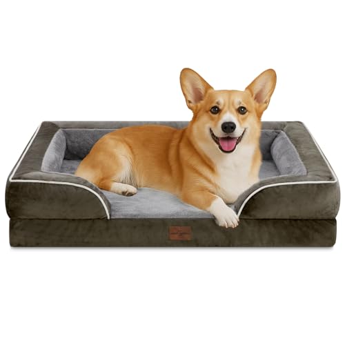 Comfort Expression, orthopädisches Sofa-Hundebett für mittelgroße und große Hunde, wasserdicht, bequeme Schaumstoffpolsterung, abnehmbarer, waschbarer Bezug und rutschfeste Unterseite (M, dunkelgrün) Comfort Expression, orthopädisches Sofa-Hundebett für mittelgroße und große Hunde, wasserdicht, bequeme Schaumstoffpolsterung, abnehmbarer, waschbarer Bezug und rutschfeste Unterseite (M, dunkelgrün) von Comfort Expression