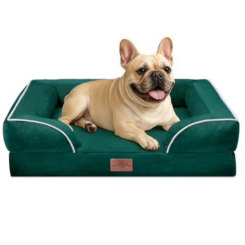 Comfort Expression, wasserdichtes orthopädisches Hundebett aus Schaumstoff für mittelgroße Hunde, bequemes Haustiersofa mit waschbarem, abnehmbarem Bezug und rutschfestem Boden (Größe S, smaragdgrün) Comfort Expression, wasserdichtes orthopädisches Hundebett aus Schaumstoff für mittelgroße Hunde, bequemes Haustiersofa mit waschbarem, abnehmbarem Bezug und rutschfestem Boden (Größe S, smaragdgrün) von Comfort Expression