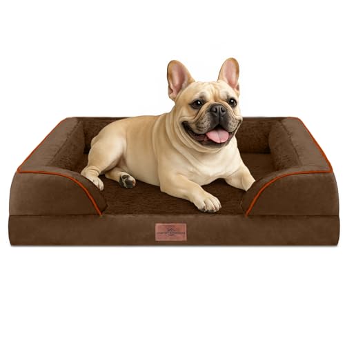 Comfort Expression, wasserdichtes orthopädisches Hundebett aus Schaumstoff für mittelgroße Hunde, bequemes Haustiersofa mit waschbarem, abnehmbarem Bezug und rutschfestem Boden (S, schokoladenbraun) Comfort Expression, wasserdichtes orthopädisches Hundebett aus Schaumstoff für mittelgroße Hunde, bequemes Haustiersofa mit waschbarem, abnehmbarem Bezug und rutschfestem Boden (S, schokoladenbraun) von Comfort Expression