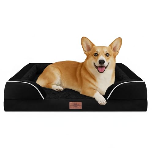 Comfort Expression Hundebett, wasserdicht, orthopädisch, Schaumstoff, für mittelgroße und große Hunde, bequemes Haustierbett mit waschbarem, abnehmbarem Bezug und rutschfester Unterseite (M, Schwarz) Comfort Expression Hundebett, wasserdicht, orthopädisch, Schaumstoff, für mittelgroße und große Hunde, bequemes Haustierbett mit waschbarem, abnehmbarem Bezug und rutschfester Unterseite (M, Schwarz) von Comfort Expression
