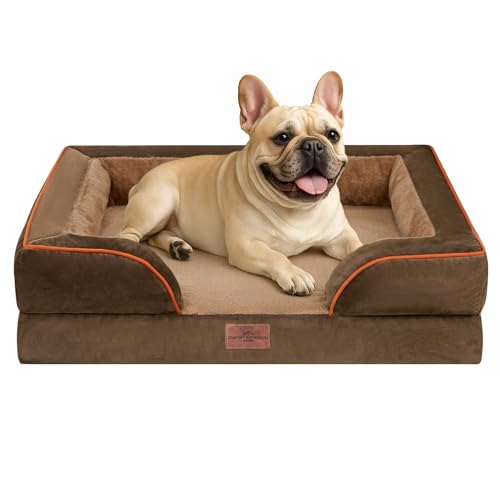 Comfort Expression kleines Hundebett, wasserdicht, orthopädisches Schaumstoffsofa für mittelgroße Hunde, bequemes Haustierbett mit waschbarem, abnehmbarem Bezug und rutschfestem Boden (Größe S, braun) Comfort Expression kleines Hundebett, wasserdicht, orthopädisches Schaumstoffsofa für mittelgroße Hunde, bequemes Haustierbett mit waschbarem, abnehmbarem Bezug und rutschfestem Boden (Größe S, braun) von Comfort Expression