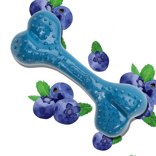 COMFY TOY DENTAL BONE 12,5 BLUEBERRY von Comfy