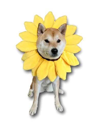 ComfyCamper Sonnenblume Hund Kostüm für kleine mittelgroße große Hunde Welpen Katze Kätzchen - Niedlicher Kopf Blume Stirnband Outfits - Halsband Kegel Kostüm Hut Sombrero Outfit Haustier Cosplay Halloween (Small) von ComfyCamper