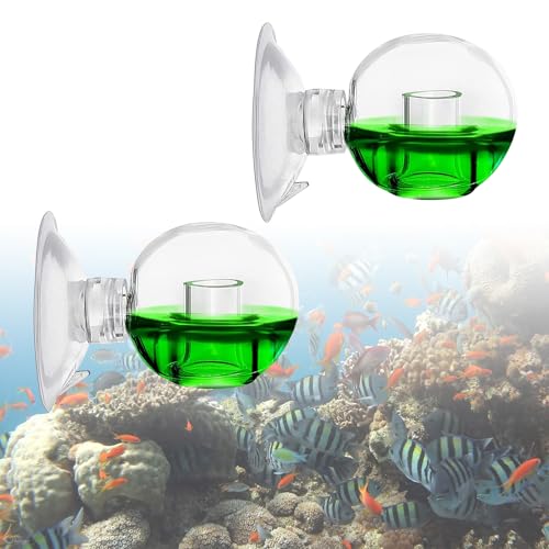 CO2 Test Drop Checker,Aquarium CO2-Monitor,2pcs CO2 Glas Tester,CO2 Test Drop Checker Aquarium,CO2 Test Aquarium Drop Checker,Glass Drop Checker CO2,CO2 Glas Aquarium Monitor (Keine Indikatorlösung) von Comioke