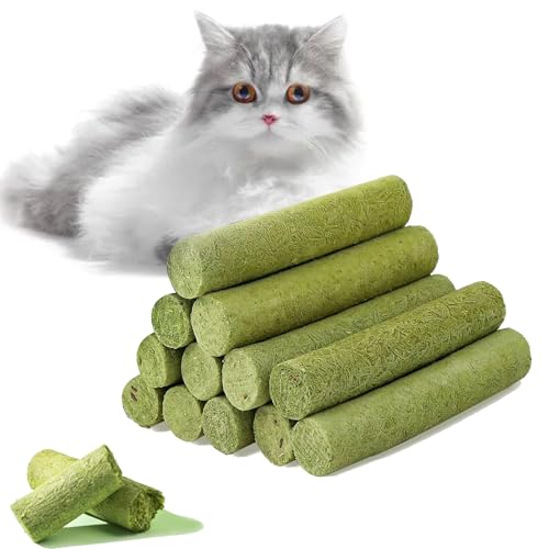 Comioke Katzengras Snack, Katzengras Für Katzen, Cat Grass Teething Sticks for Indoor Cats, Zahnreiniger, Katzen-Kauspielzeug, Katzenminze-Spielzeug, Katzen-Beißspielzeug Zur Haarballenentfernung von Comioke