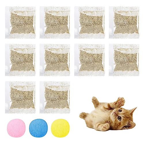 Comioke Katzenminze Getrocknet, Natürliche Catnip Katzengras, Verwendet als Snack für Füllung Katzenspielzeug, Katzenspielzeug, 10PCS Fein Getrocknet und Versiegelt und Verpackt von Comioke