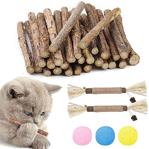 Katzenminze Sticks, Katzen Kauhölzer Sticks, 30+2 Stück Katzen Zahnpflege Spielzeug, Katzen Kauspielzeug, Zahnpflege Katzen, Katzenminze Sticks Für Katzen, Dental Sticks Katze, Kausticks Für Katzen von Comioke