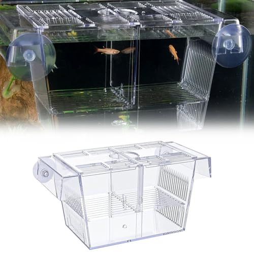 Laichkasten, Zuchtbecken, Aufzuchtbecken, Zuchtbecken Aquarium, Aufzuchtbecken Aquarium, Ablaichkasten Aquarium, Breeding Box, Fischzuchtkasten, Fisch Isolation Box, Fisch-Züchterbox mit 2 Saugnäpfen von Comioke