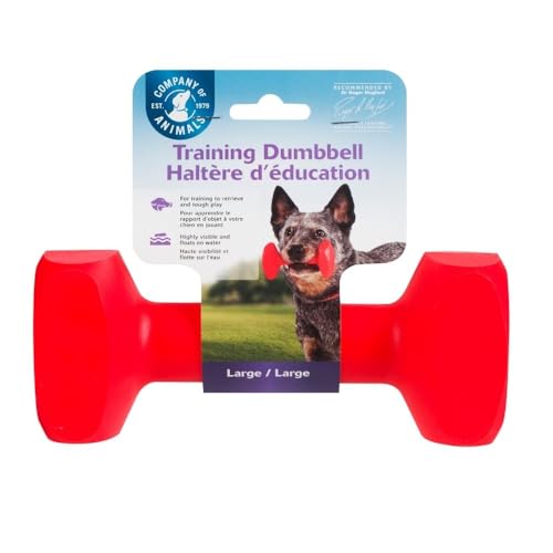 COMPANY OF ANIMALS Training Dumbbell, schwimmt, lange Wurfweite, klassisches Apportierspielzeug, für Jagdhund- und Welpentraining. Beständig & Robust. Für mittelgroße Hunde & Welpen (Größe L) von Company of Animals