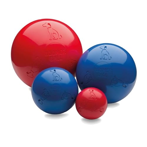 BOOMER BALL - Fast unzerstörbarer Hundeball, schwimmt auf dem Wasser, Ideal für bewegungsfreudige und energiegeladene Hunde, robustes & langlebiges Hundespielzeug (Größe 10cm, Blau oder Rot) von Company of Animals