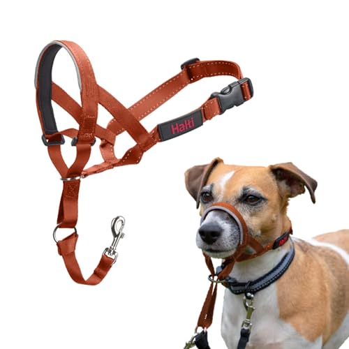 HALTI Kopfgeschirr - Verhindert, dass Ihr Hund an der Leine zieht, Einfache Anpassung, Leicht, mit gepolstertem Nasenriemen, Anti-Zug-Halsband für kleine Hunde (Größe 1, Dunkelorange) von Company of Animals