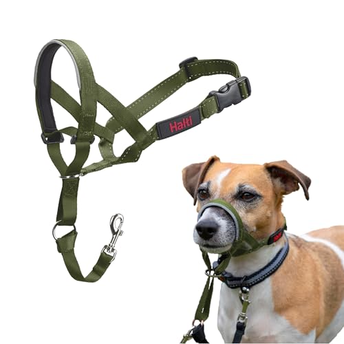HALTI Kopfgeschirr - Verhindert, dass Ihr Hund an der Leine zieht, Einfache Anpassung, Leicht, mit gepolstertem Nasenriemen, Anti-Zug-Halsband für kleine Hunde (Größe 1, Waldgrün) von Company of Animals
