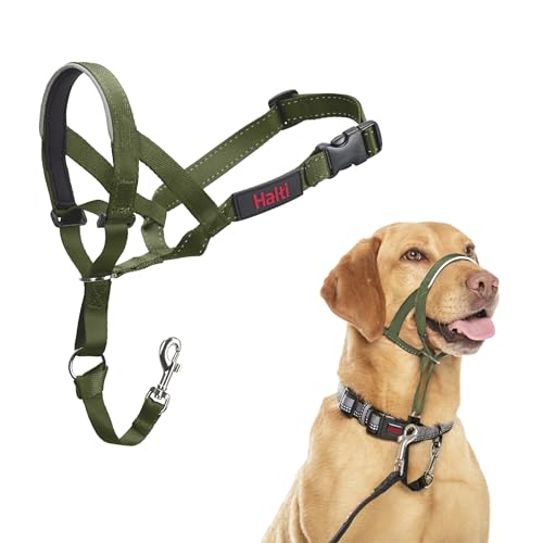 HALTI Kopfgeschirr - Verhindert, dass Ihr Hund an der Leine zieht, Einfache Anpassung, Leicht, mit gepolstertem Nasenriemen, Anti-Zug-Halsband für mittelgroße Hunde (Größe 3, Waldgrün) von Company of Animals