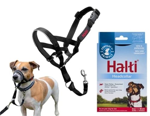 Halti Original Halfter für Hunde, schwarz, Größe 1 – (kleine Hunde) – 3 Stück von Company of Animals