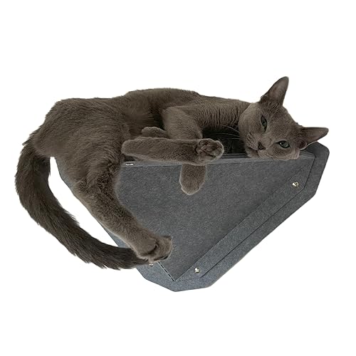 MIUT Kleines Kletterkatzenmöbel, Wandmontierte Katzenregale, Geistige Stimulation für Indoor-Katzen, Verstellbar, Wasser- und schmutzabweisend, Geeignet für Katzen zum Klettern und Spielen von Company of Animals