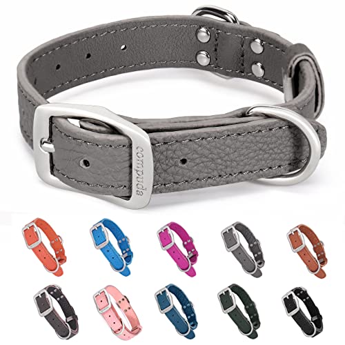 Compuda Hundehalsband aus Leder, verstellbar, langlebig, robust, geruchshemmend, Echtleder, Hundehalsbänder für kleine, mittelgroße und große Hunde, Grau, Größe L von Compuda